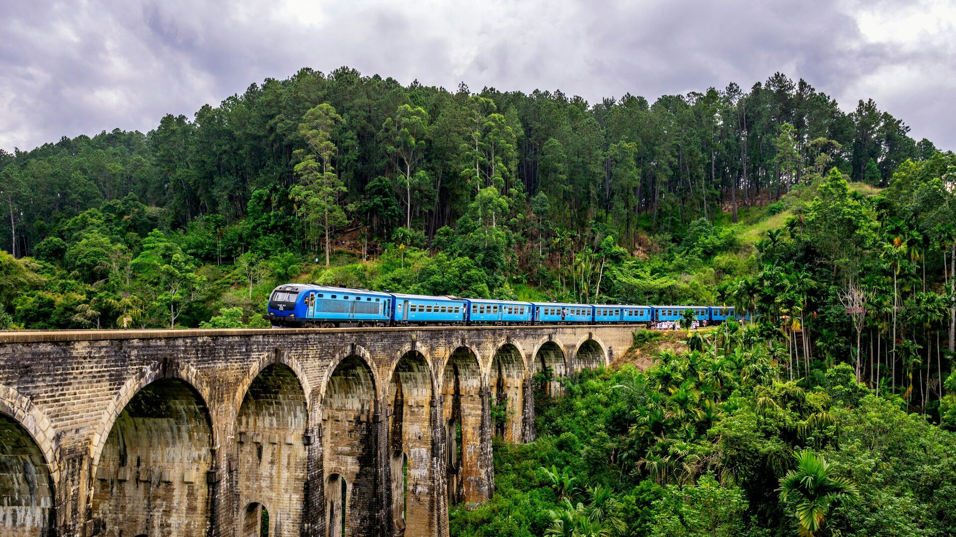 Tea estates and a blue train on the hill-country railway near Ella, Sri Lanka